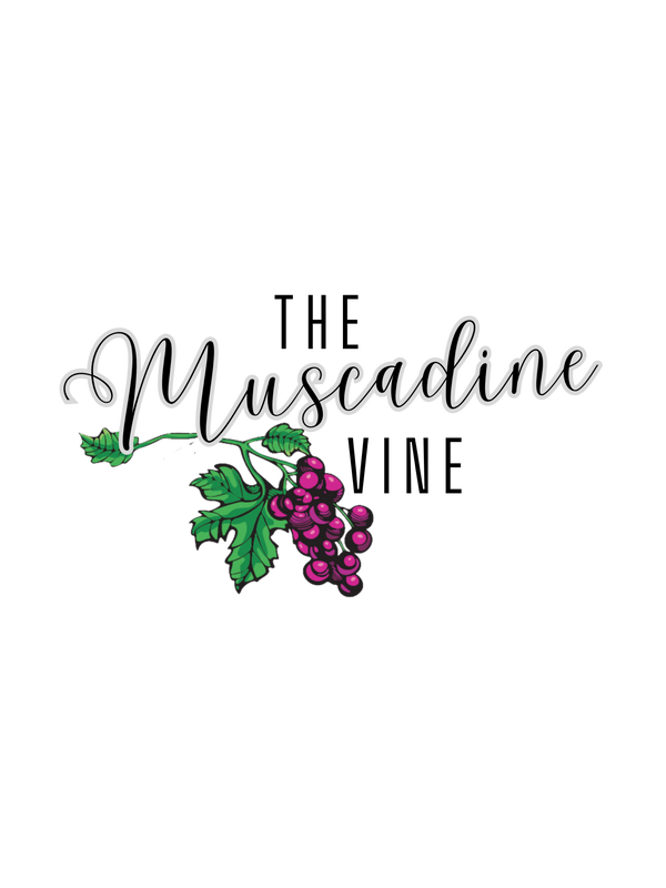 The Muscadine Vine